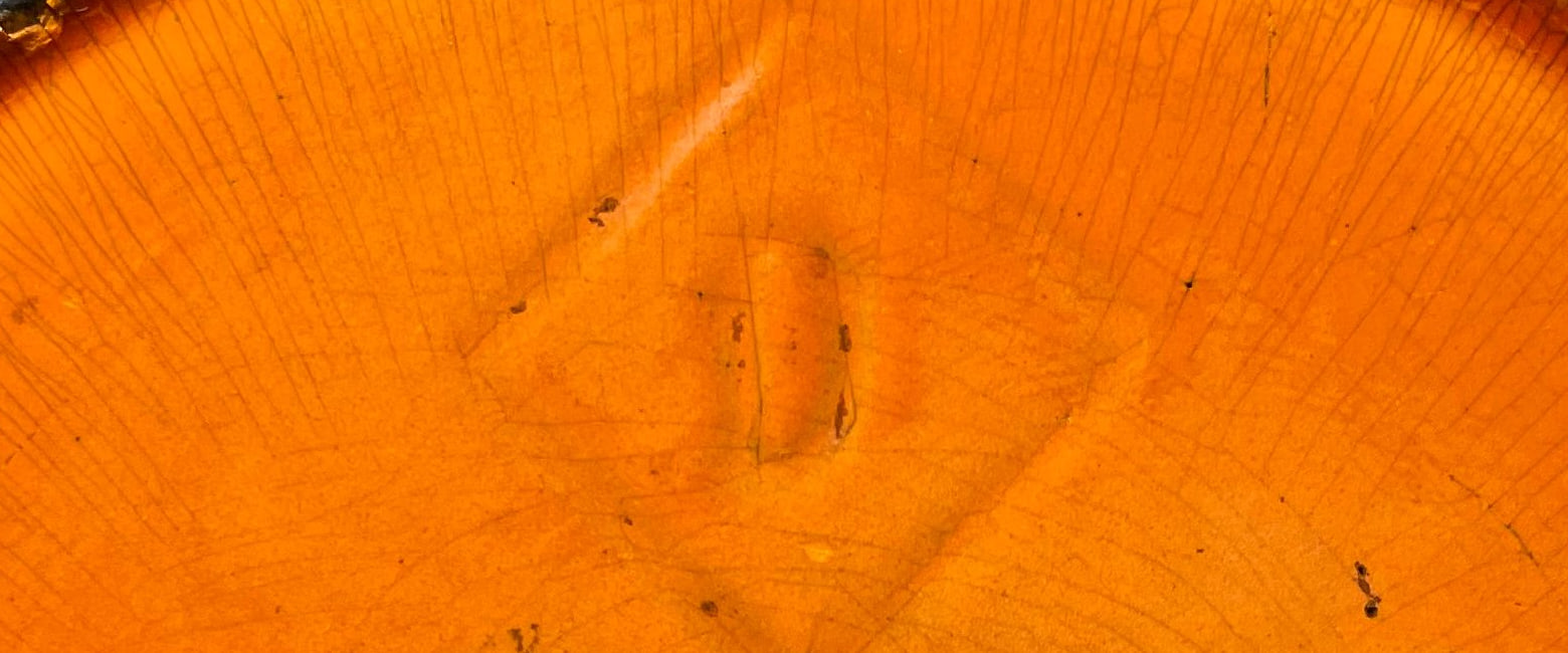 Detail of the impressed lozenge mark containing a letter, with fine enamel crazing, on the base of an early Le Creuset cocotte